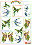 Tiny Birds of Paradise IT 555 vak 78-11